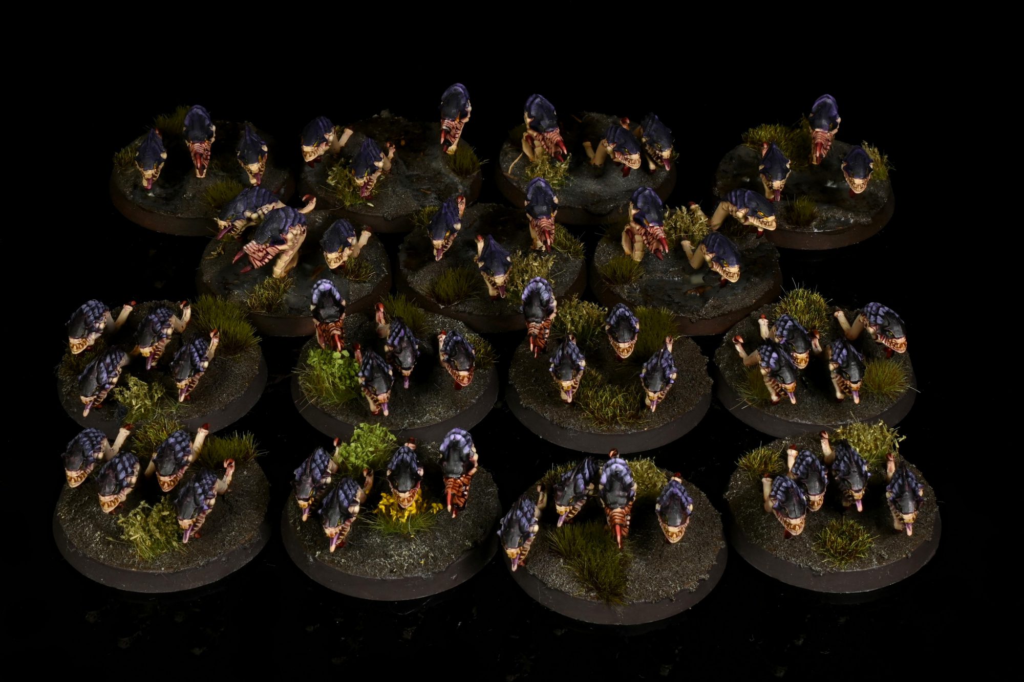 Rippers. Credit: Rockfish