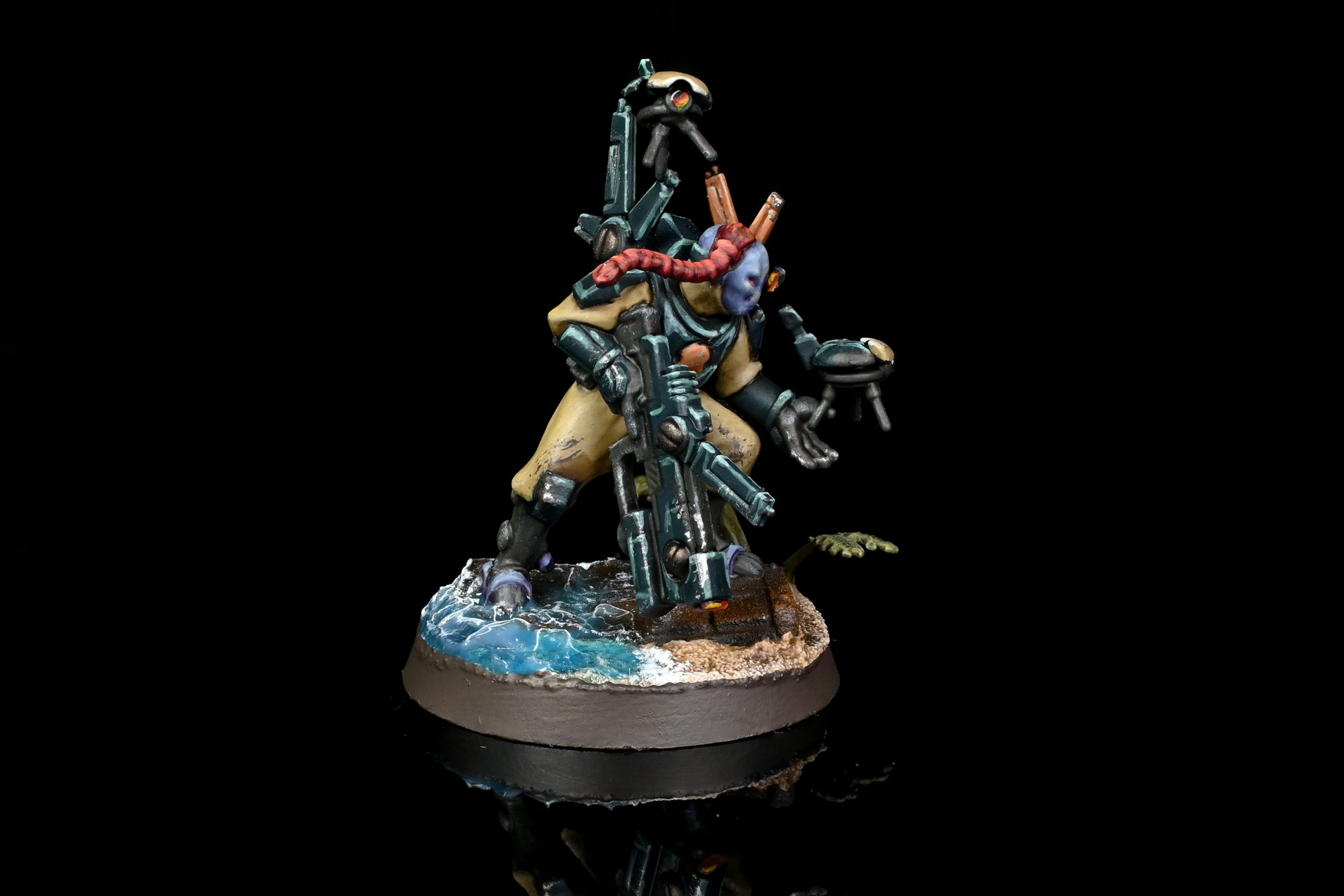 Darkstrider. Credit: Rockfish