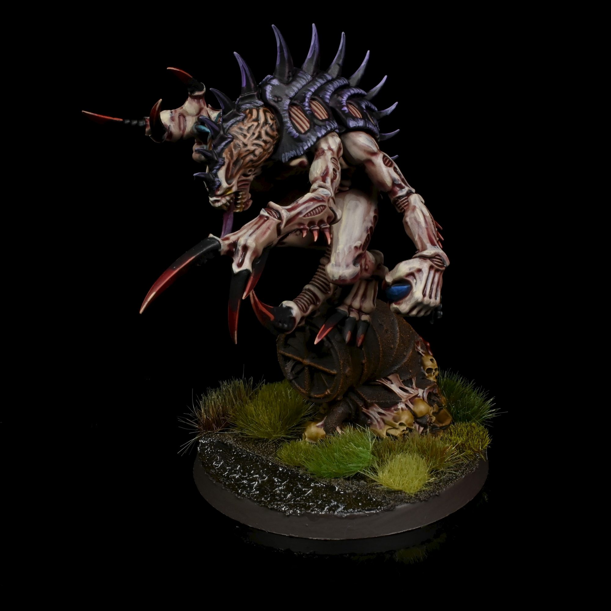 Patriarch. Credit: Rockfish