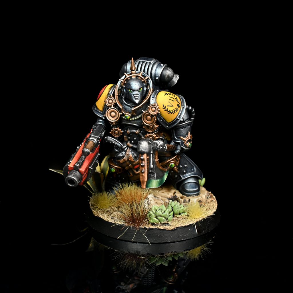 Castellan. Credit: Rockfish