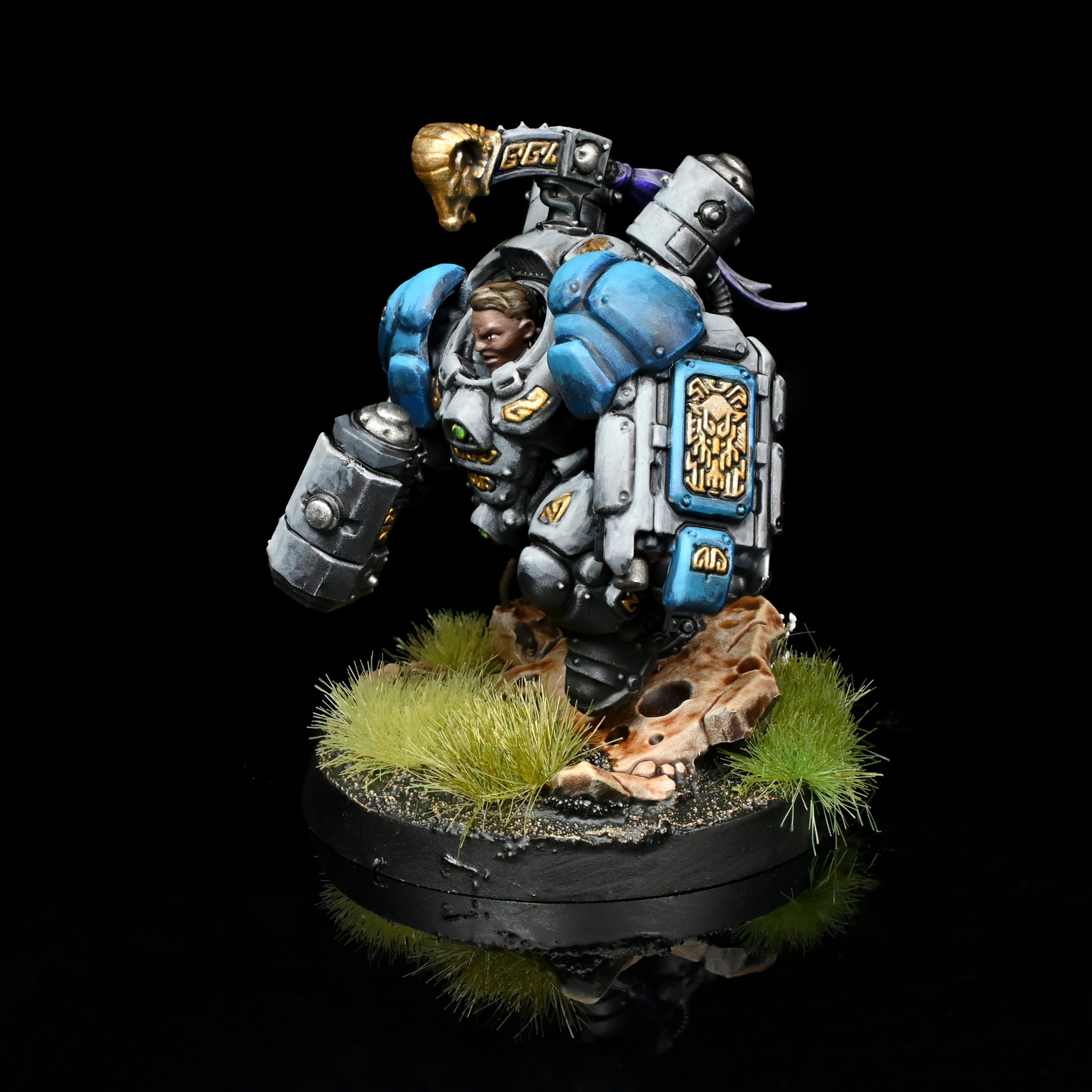 Einhyr Champion. Credit: Rockfish