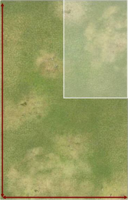 CoC Flank Attack Map