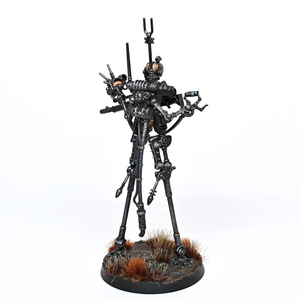 Sydonian Skatros. Credit: Rockfish