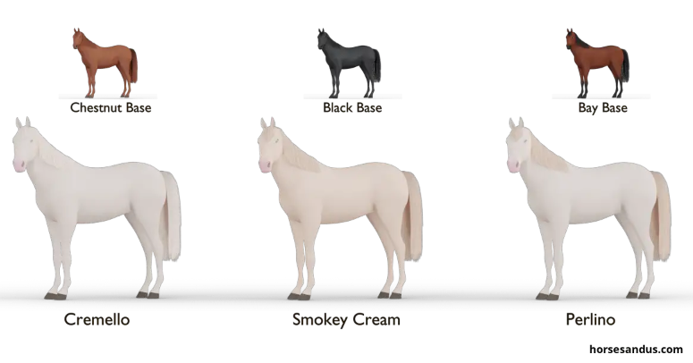 Double dilution horse colors