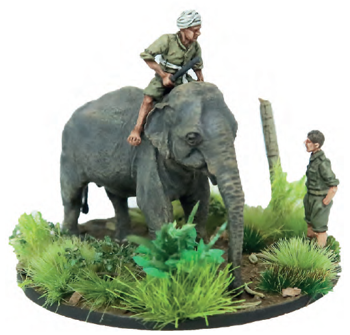 COC Far East Elephant JOP
