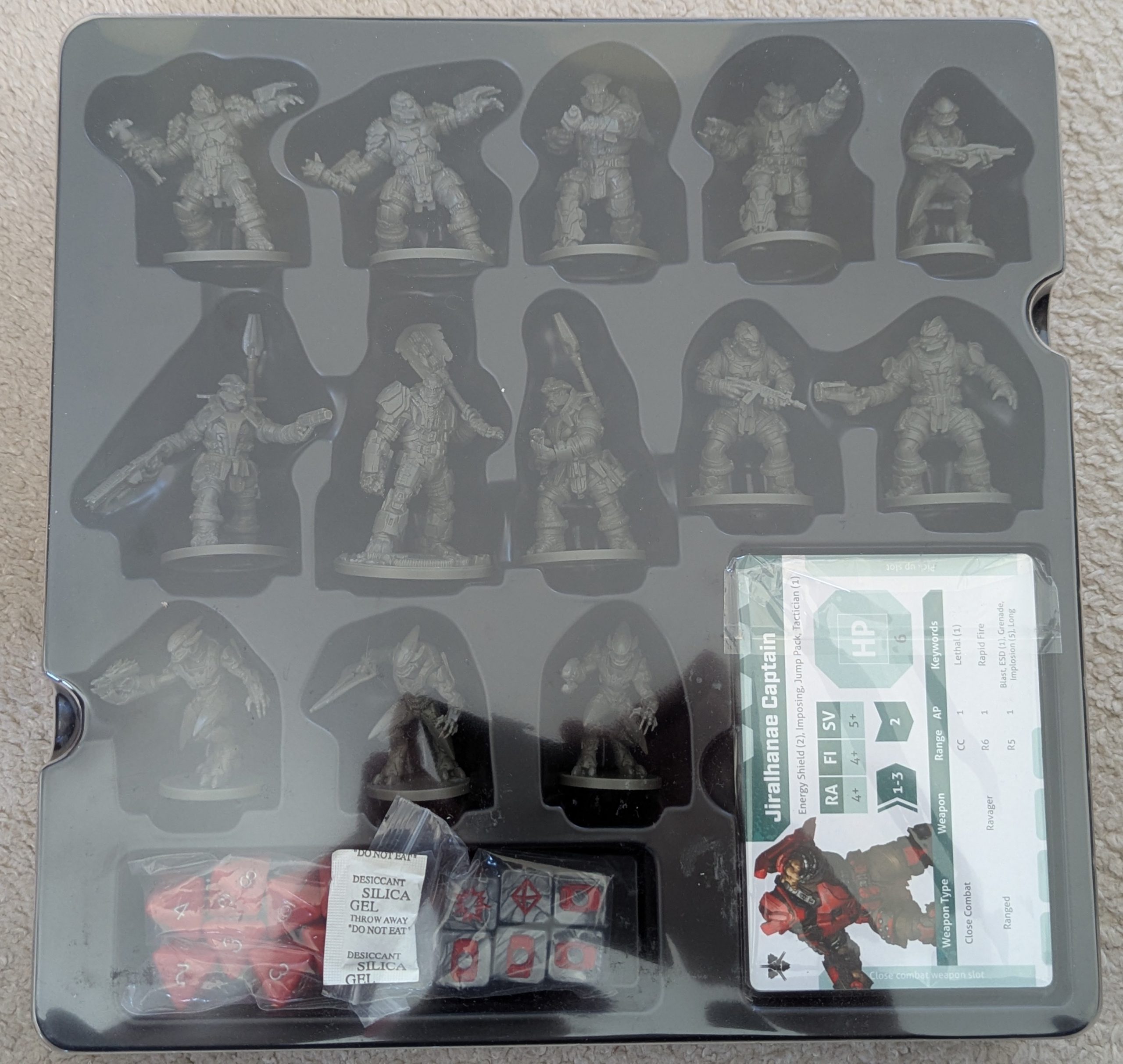 Rise of the Banished Miniatures in the box - credit Thundercloud